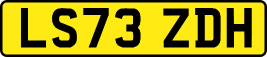 LS73ZDH