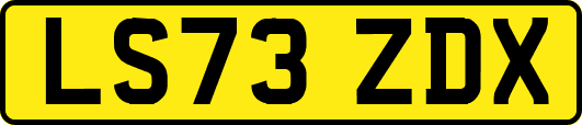 LS73ZDX