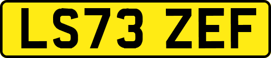 LS73ZEF