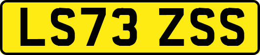 LS73ZSS
