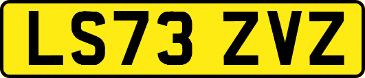 LS73ZVZ