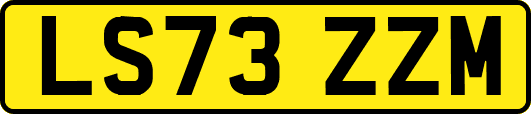 LS73ZZM