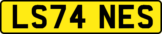 LS74NES