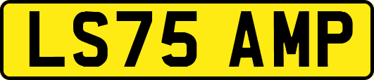 LS75AMP