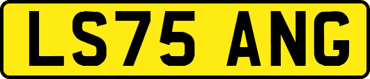 LS75ANG