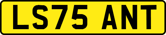 LS75ANT