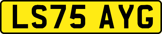 LS75AYG