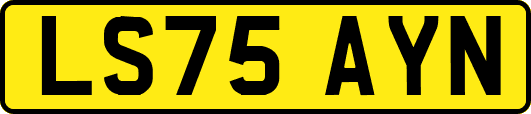 LS75AYN