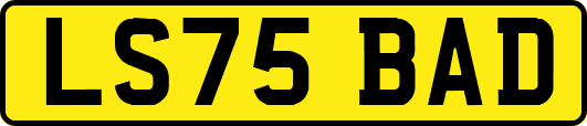 LS75BAD