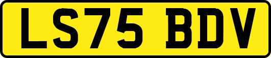LS75BDV