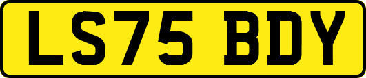 LS75BDY