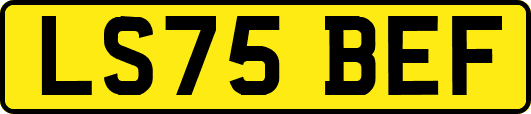 LS75BEF