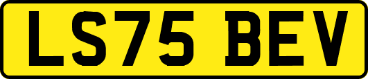 LS75BEV