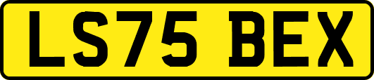 LS75BEX
