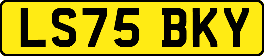 LS75BKY