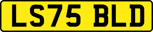 LS75BLD