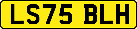 LS75BLH