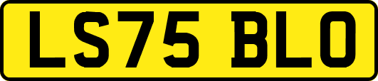 LS75BLO