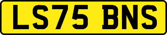 LS75BNS