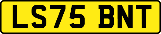 LS75BNT