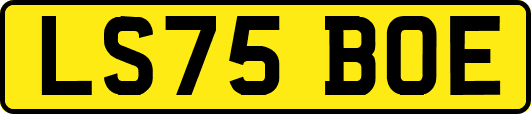 LS75BOE