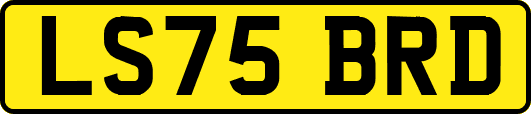 LS75BRD