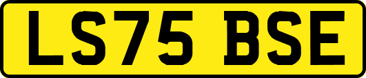 LS75BSE