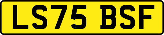 LS75BSF