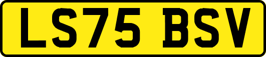 LS75BSV