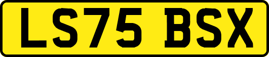 LS75BSX