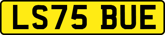 LS75BUE