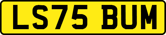 LS75BUM
