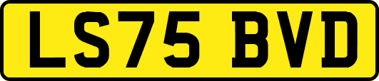 LS75BVD