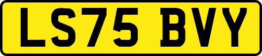 LS75BVY