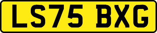 LS75BXG