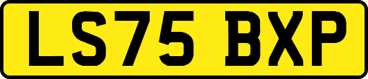 LS75BXP