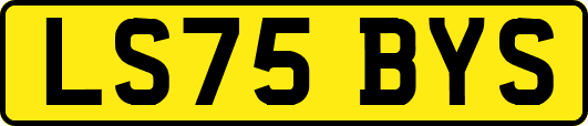LS75BYS