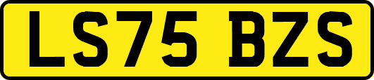 LS75BZS