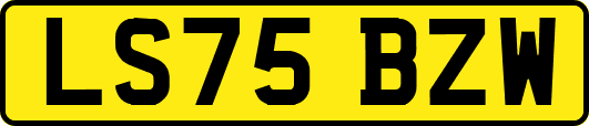 LS75BZW