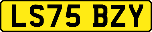LS75BZY