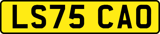 LS75CAO