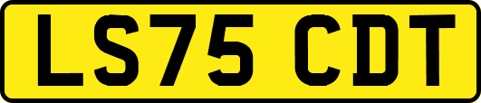 LS75CDT