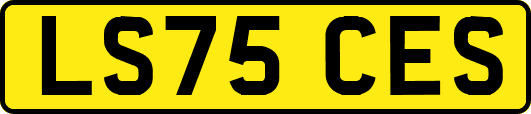 LS75CES