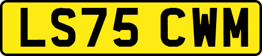 LS75CWM