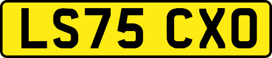 LS75CXO
