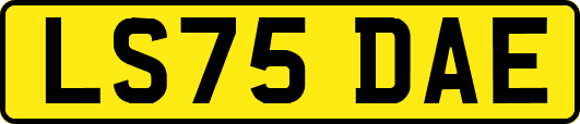 LS75DAE
