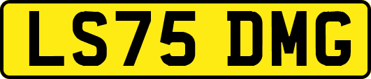 LS75DMG
