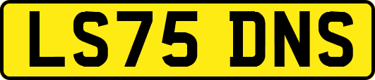 LS75DNS