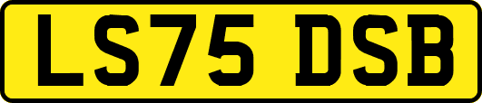 LS75DSB