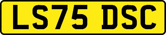 LS75DSC